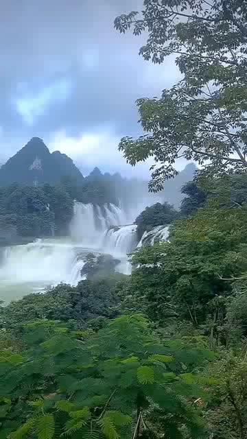 次元喵