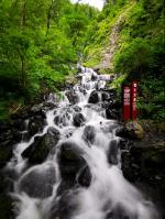 香蜜沉沉烬如霜装扮